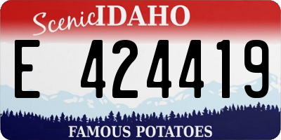 ID license plate E424419