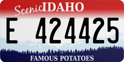 ID license plate E424425