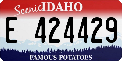 ID license plate E424429