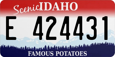 ID license plate E424431