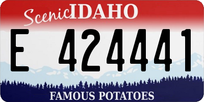 ID license plate E424441