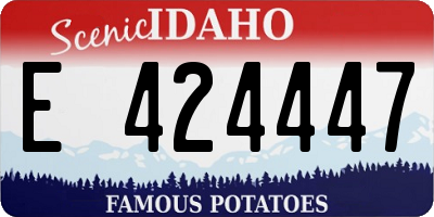ID license plate E424447