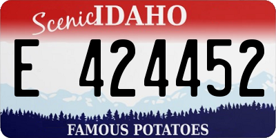 ID license plate E424452