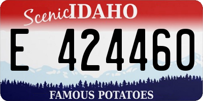 ID license plate E424460