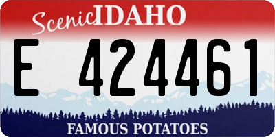 ID license plate E424461