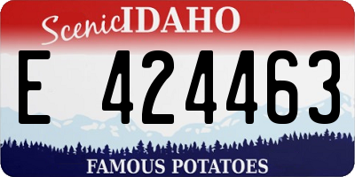 ID license plate E424463
