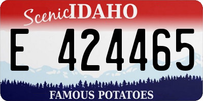 ID license plate E424465
