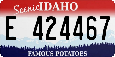 ID license plate E424467