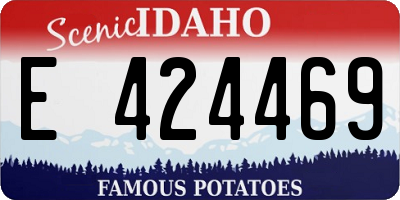 ID license plate E424469
