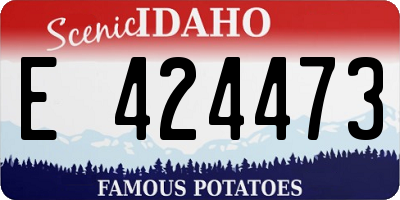 ID license plate E424473