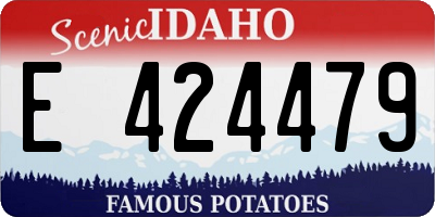 ID license plate E424479