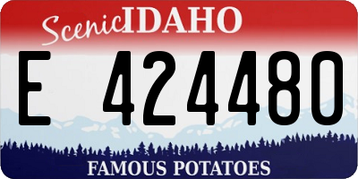 ID license plate E424480