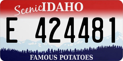 ID license plate E424481