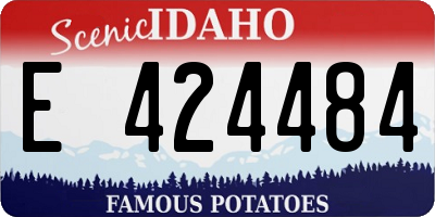 ID license plate E424484