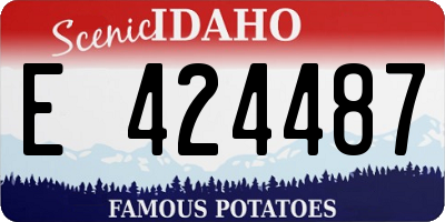 ID license plate E424487