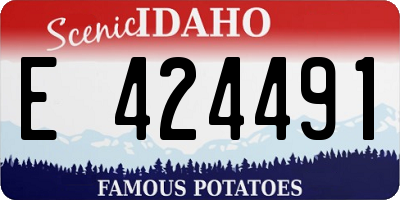 ID license plate E424491