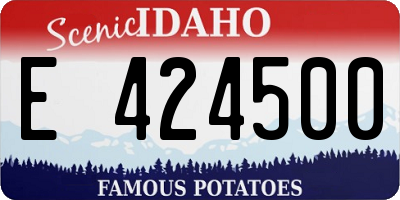 ID license plate E424500