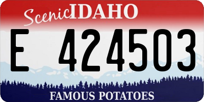 ID license plate E424503