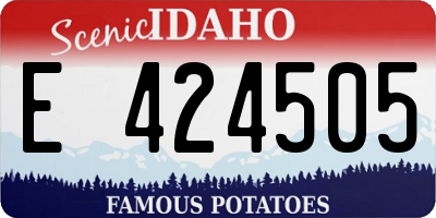 ID license plate E424505