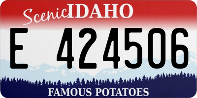 ID license plate E424506
