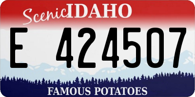 ID license plate E424507