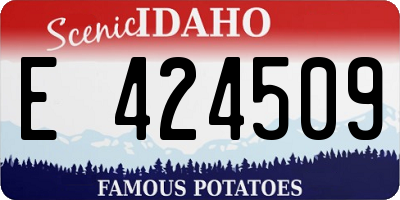 ID license plate E424509