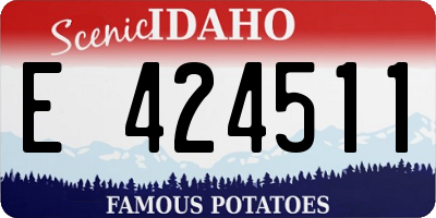 ID license plate E424511