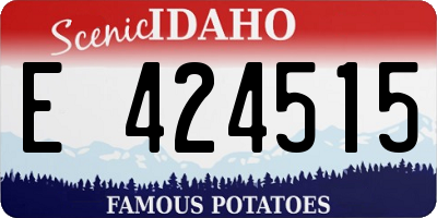 ID license plate E424515