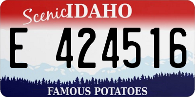 ID license plate E424516