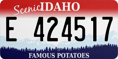 ID license plate E424517