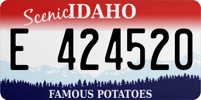 ID license plate E424520