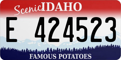 ID license plate E424523