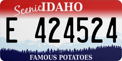 ID license plate E424524