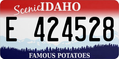 ID license plate E424528