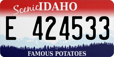 ID license plate E424533
