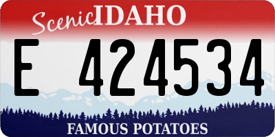 ID license plate E424534