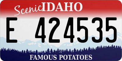 ID license plate E424535