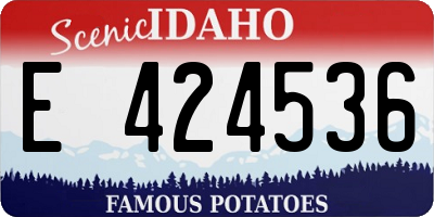ID license plate E424536