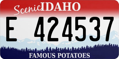 ID license plate E424537