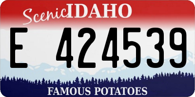 ID license plate E424539