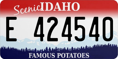 ID license plate E424540