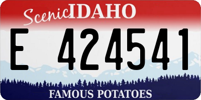 ID license plate E424541