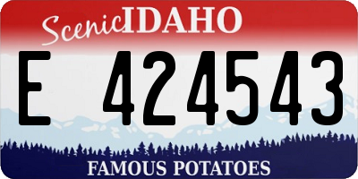 ID license plate E424543