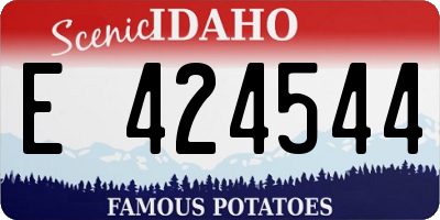 ID license plate E424544