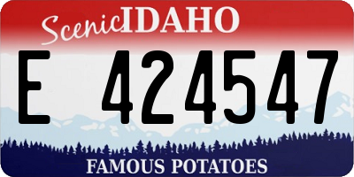 ID license plate E424547
