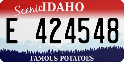 ID license plate E424548