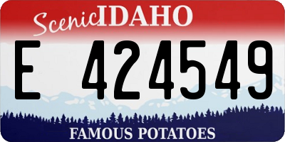ID license plate E424549