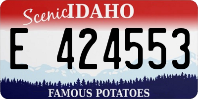 ID license plate E424553