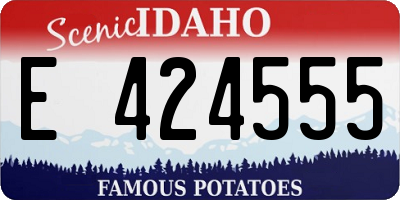 ID license plate E424555