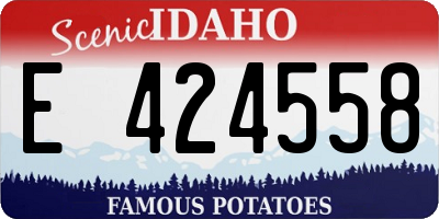 ID license plate E424558